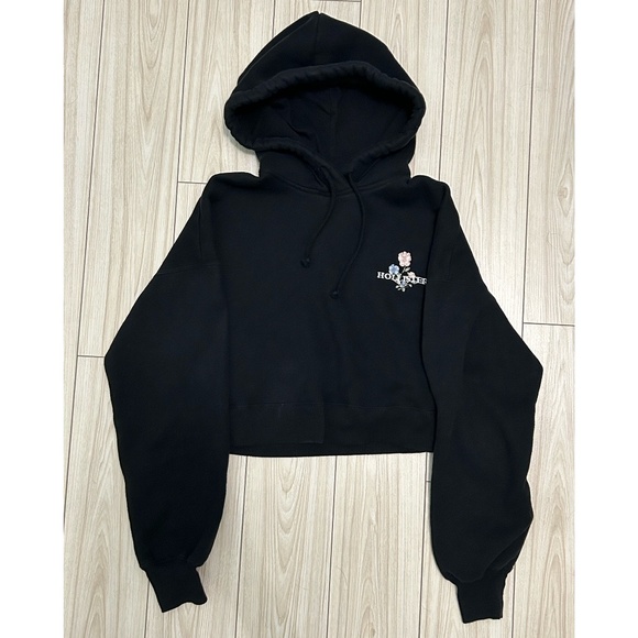 Hollister Cropped Hoodie w/ Floral Embroidery - XS - Picture 1 of 4